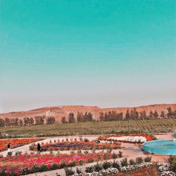 photos at مزرعة الورد الطائفي abha عسير