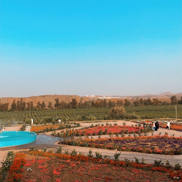photos at مزرعة الورد الطائفي abha عسير