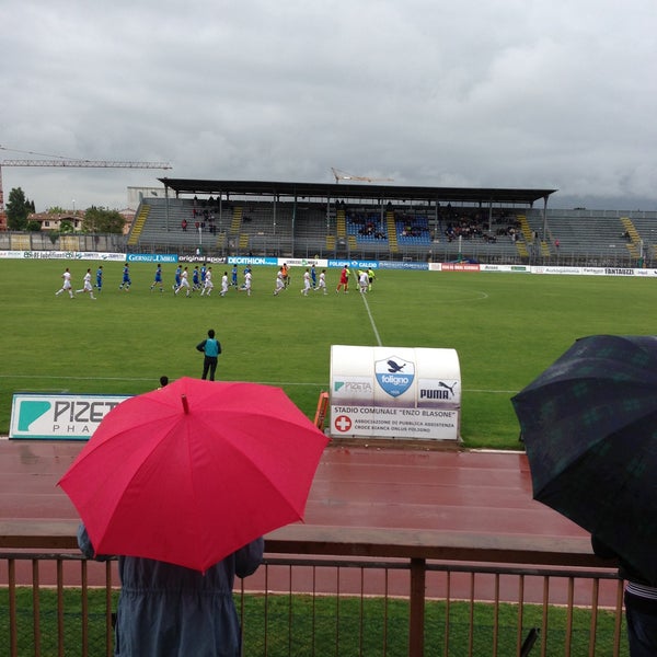 Acquista catena saggio ombrello stadio cigno mensola secondo
