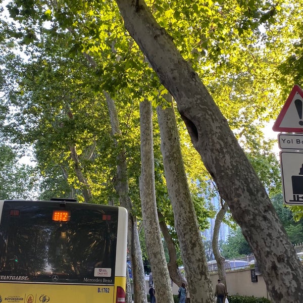 6/5/2023에 7님이 Taksim Gezi Parkı에서 찍은 사진