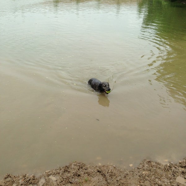 Photos at NorthBark Dog Park Dog Run in Dallas