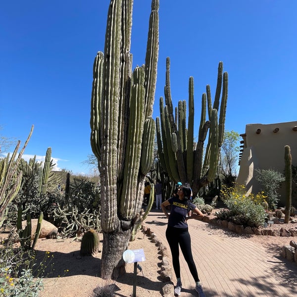 3/19/2024にSharanya R.がDesert Botanical Gardenで撮った写真