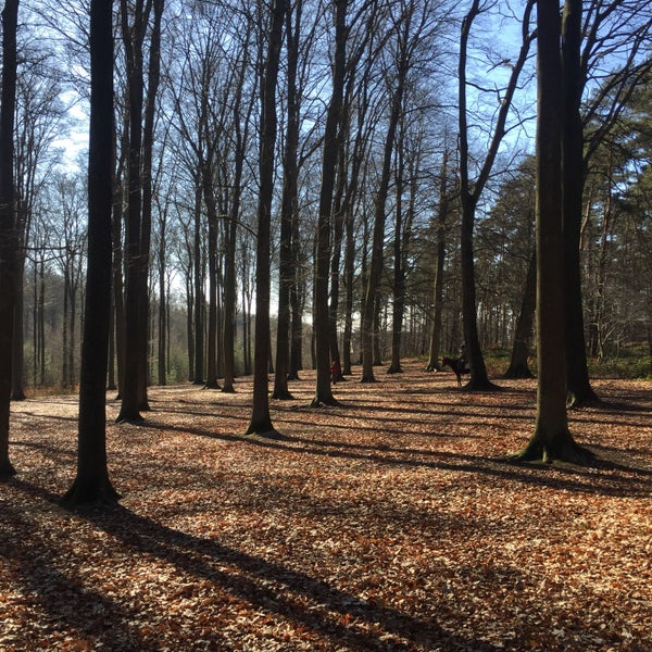 Bois de Lauzelle 2 tips