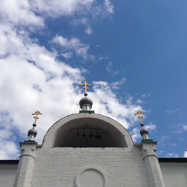 Фон голуби вектор. Голубела 3. Голубела 3. Голубея. Городской голубь белый подмосковье.