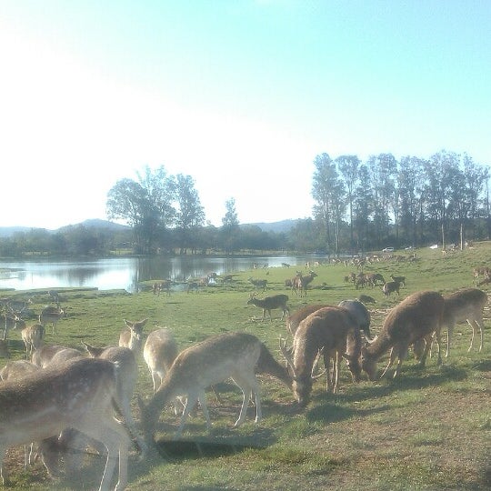 7/27/2014 tarihinde Gabriela T.ziyaretçi tarafından Pampas Safari'de çekilen fotoğraf
