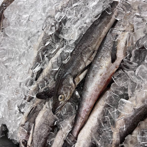 K&S World Market Nashville, TN