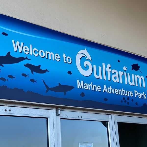 Photo taken at Gulfarium Marine Adventure Park by Tashia R. on 11/23/2020