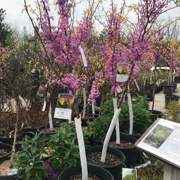 Oakland Nursery Dublin, OH