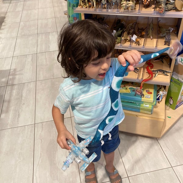 The Toy Maven 6025 Royal Ln Ste 223