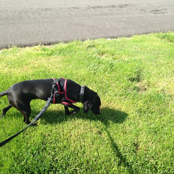 Akron Veterinary Referral & Emergency Center 2 tips from 145 visitors