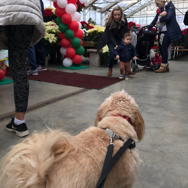 Market And Nursery Garden Center in Cohoes