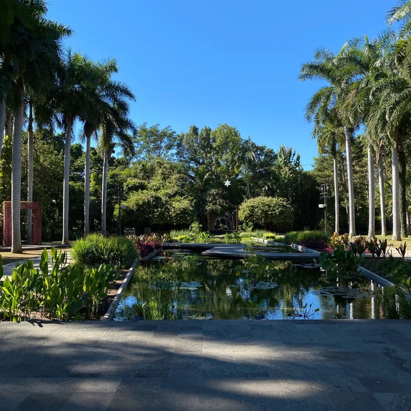 Photo taken at Jardín Botánico Culiacán by Carmen Cecilia on 12/22/2021