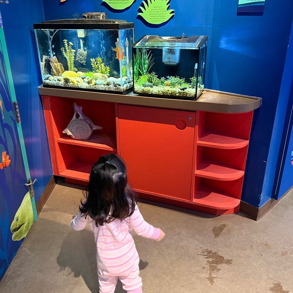 Roundhouse Marine Lab & Aquarium Sand Section 12 tips