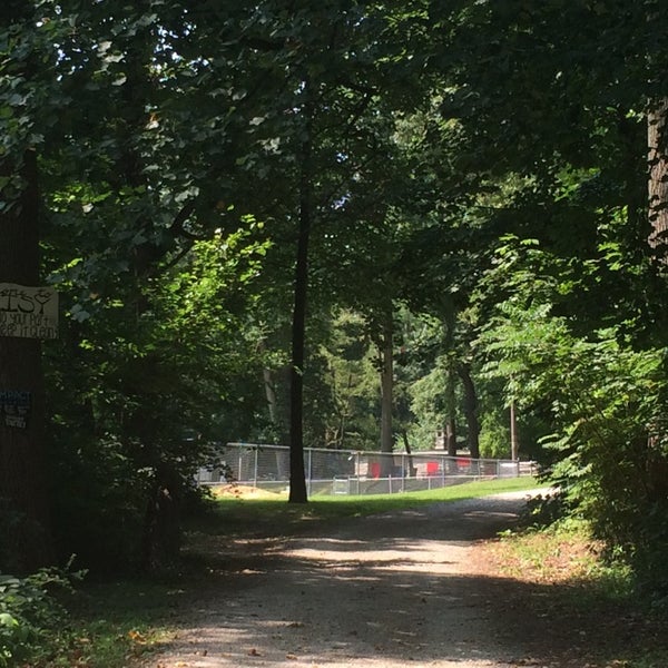 Daisy Field Roxborough Philadelphia, PA