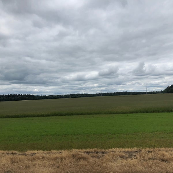 Подслушано рабитицы