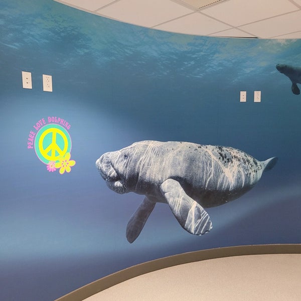 6/20/2022 tarihinde Lora K.ziyaretçi tarafından Clearwater Marine Aquarium'de çekilen fotoğraf