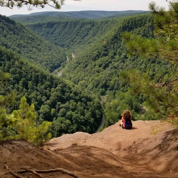 Colton Point State Park State or Provincial Park in Wellsboro