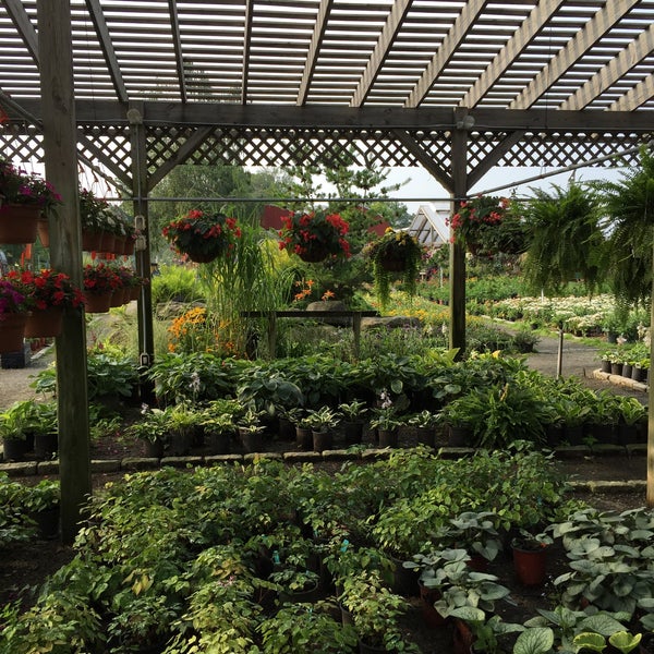 Hollandia Nurseries & Gardens Flower Store in Bethel