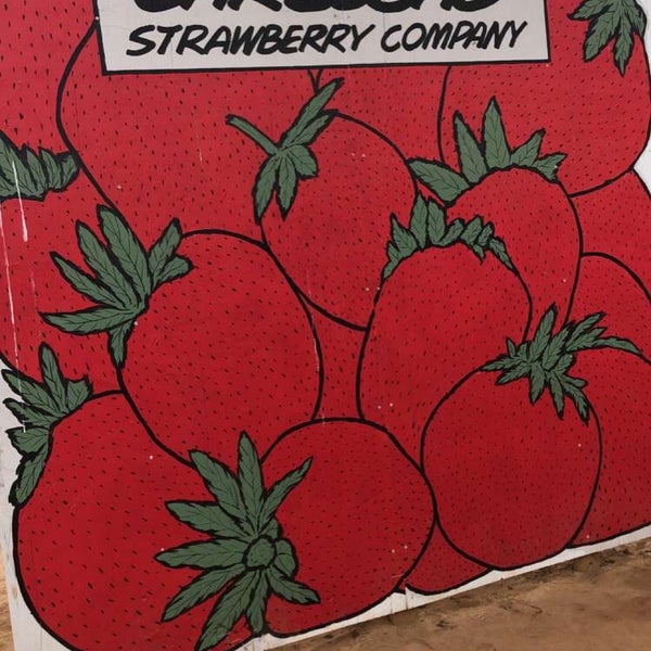 Foto tomada en U-Pick Carlsbad Strawberry Co.  por Close el 5/10/2020
