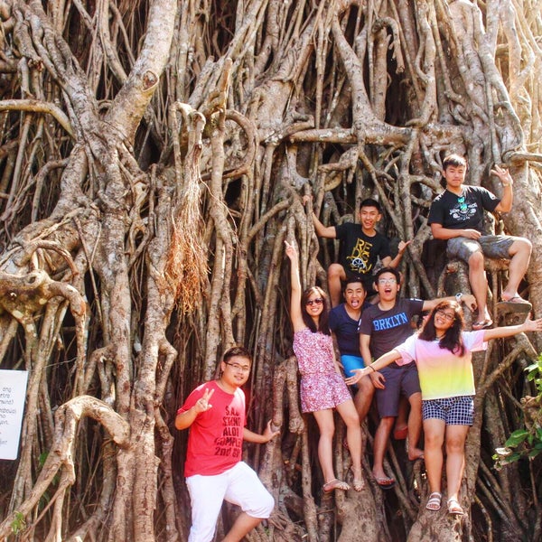 Photo taken at Biggest Balete Tree in Asia by Pauline B. on 11/25/2015