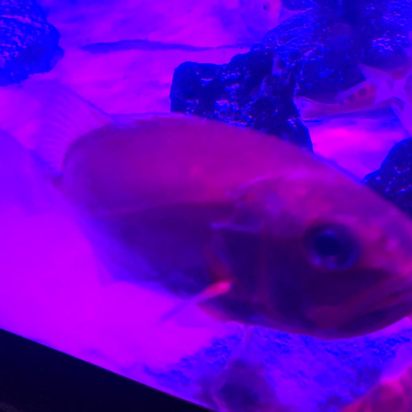 Photos At イッテq 水族館 Now Closed 金沢区 102 Visitors