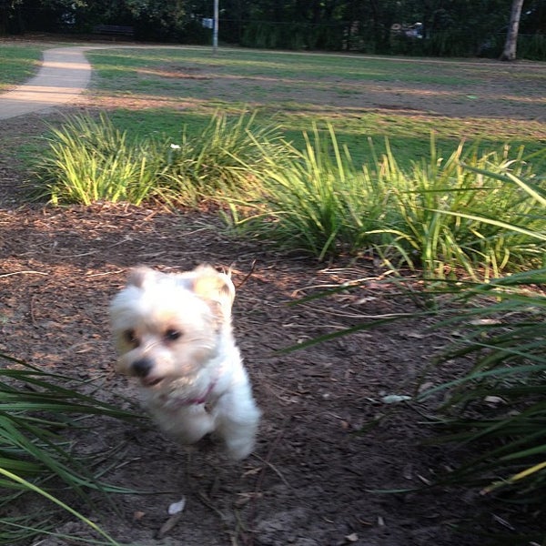 Enmore Tafe Park Trade School