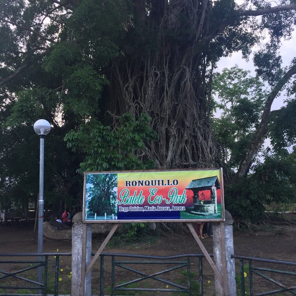 Photo taken at Biggest Balete Tree in Asia by Alyza B. on 11/17/2015