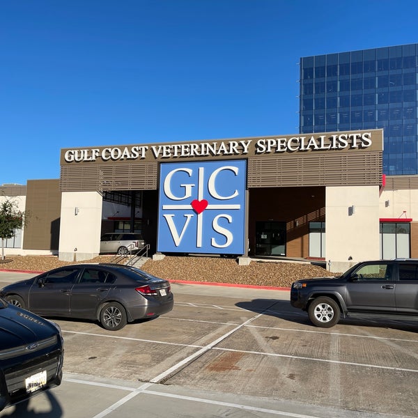 Gulf coast best sale vet specialists