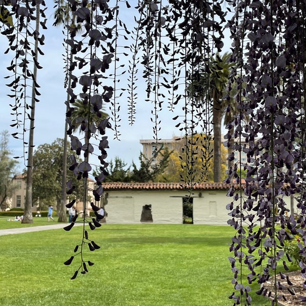 Photo taken at Santa Clara University by Cindy Y. on 4/4/2021