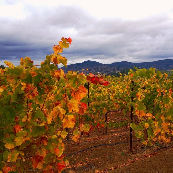 Photo taken at Monticello Vineyards - Corley Family Napa Valley by John C. on 9/29/2013