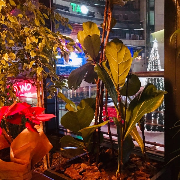 รูปภาพถ่ายที่ KOYA asian restaurant&amp;bar โดย Евгения З. เมื่อ 1/17/2019