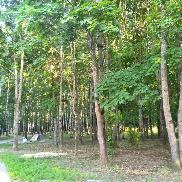 Парк в дедовске