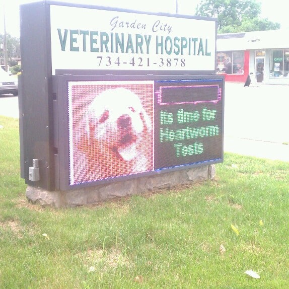 Photos At Garden City Veterinary Hospital Garden City Mi