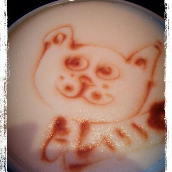 Сны любимого кота калуга