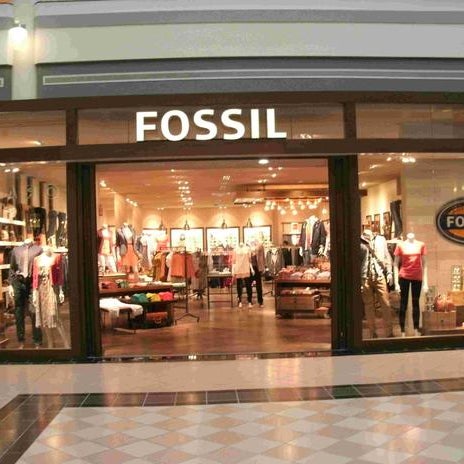 Fossil store galleria top