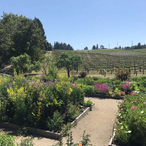 Photo taken at Lynmar Estate Winery by Delyn S. on 4/25/2018