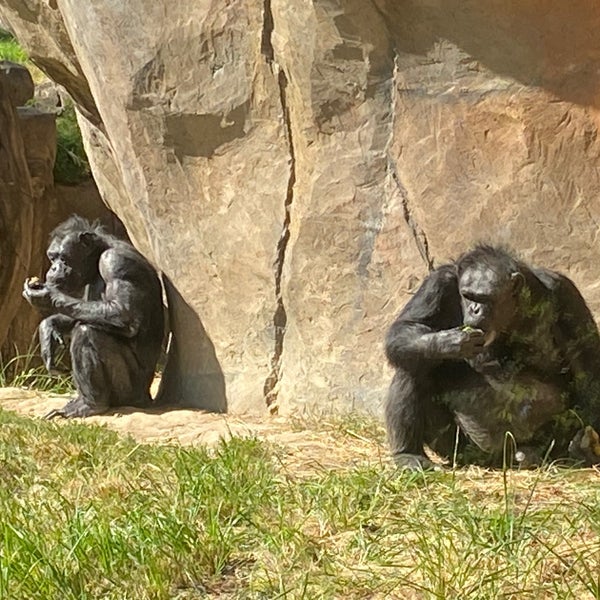 Photo taken at Saint Louis Zoo by Paul P. on 9/14/2023
