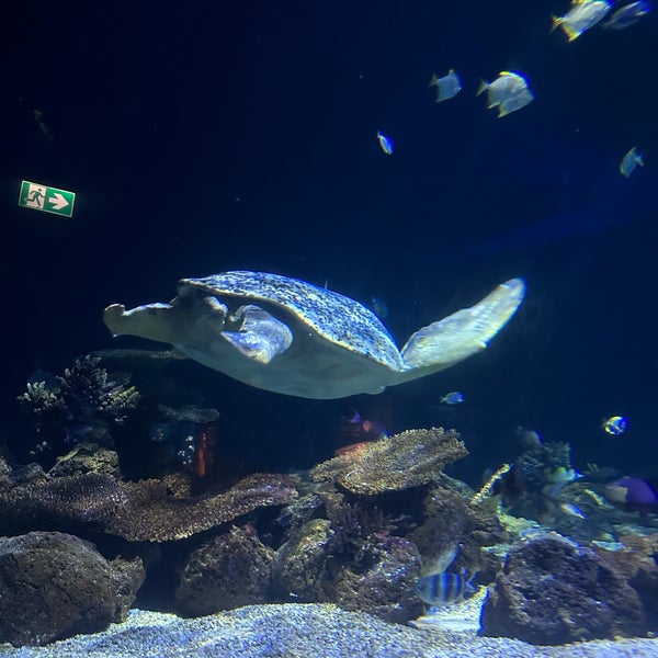 Photo taken at Vancouver Aquarium by Angeli d. on 10/26/2022