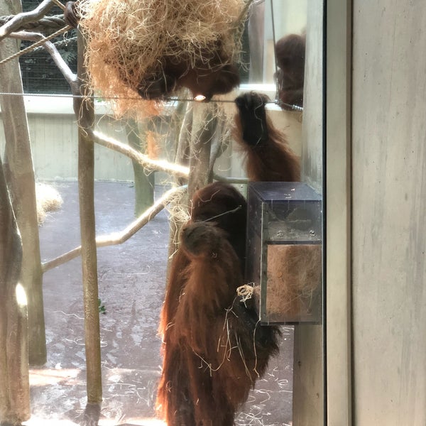 Das Foto wurde bei Zoo Basel von Ivan M. am 6/30/2018 aufgenommen