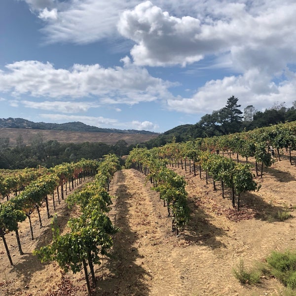 Photo taken at Sbragia Family Vineyards by Ivan M. on 9/29/2019