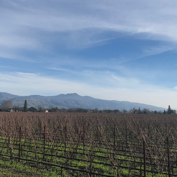 1/3/2020 tarihinde Ivan M.ziyaretçi tarafından Opus One Winery'de çekilen fotoğraf
