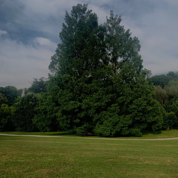 Ashbridge Park Bryn Mawr, PA