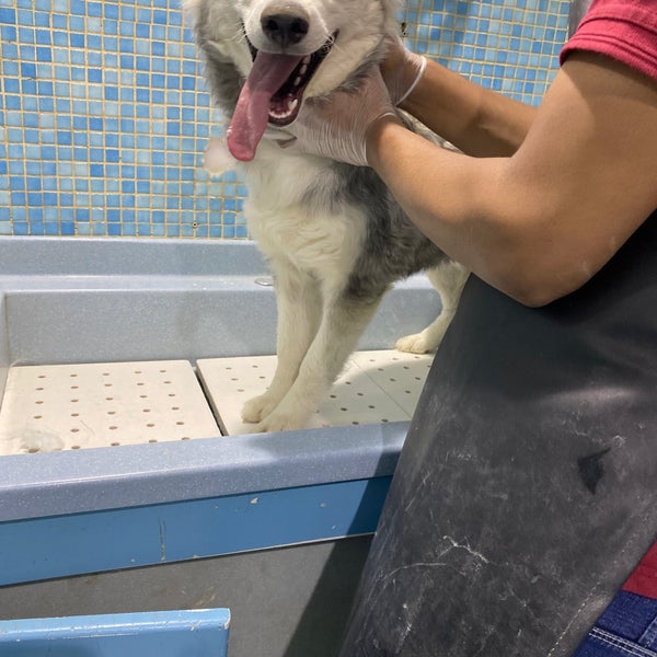 Снимок сделан в Joon Veterinary Clinic &amp; Pet Shop пользователем Closed 10/9/2020