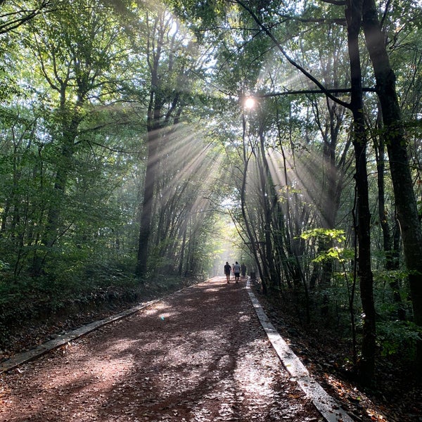 10/11/2020 tarihinde Vahide🎒🕶👣🐿🌿🌍🎨🎼🎧 U.ziyaretçi tarafından Belgrad Ormanı'de çekilen fotoğraf