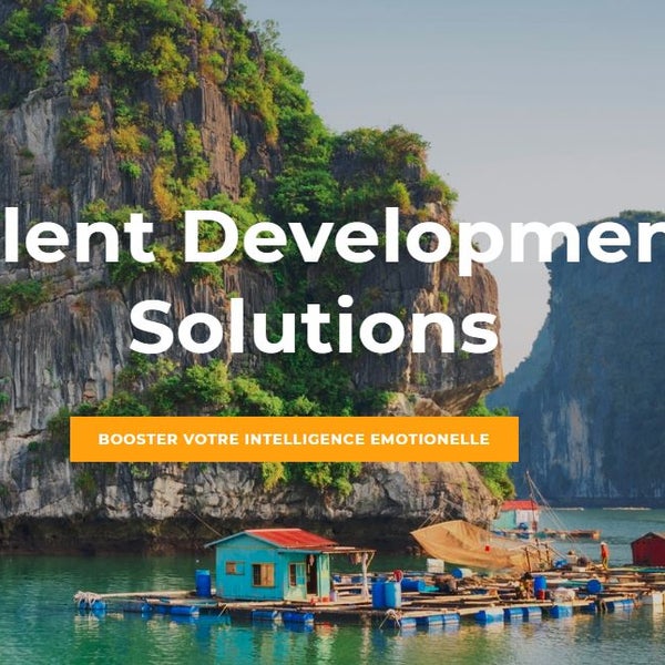 Develop solution. Develop solution
