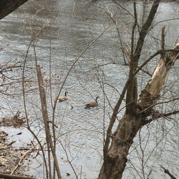 Rebers Bridge Parking Area 73 visitors