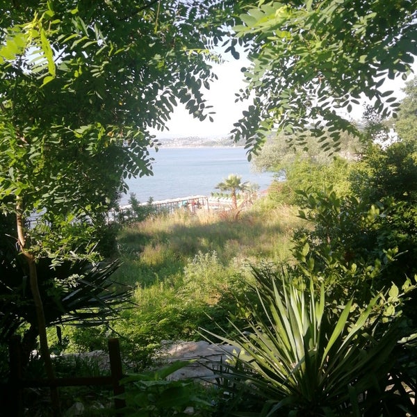 Foto tomada en Ayışığı Beach Bar  por Şengül A. el 6/26/2020