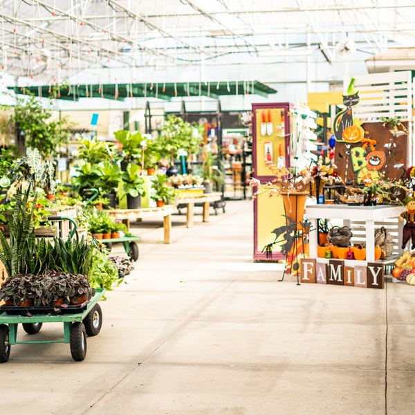 Nursery Garden Интернет Магазин Растений