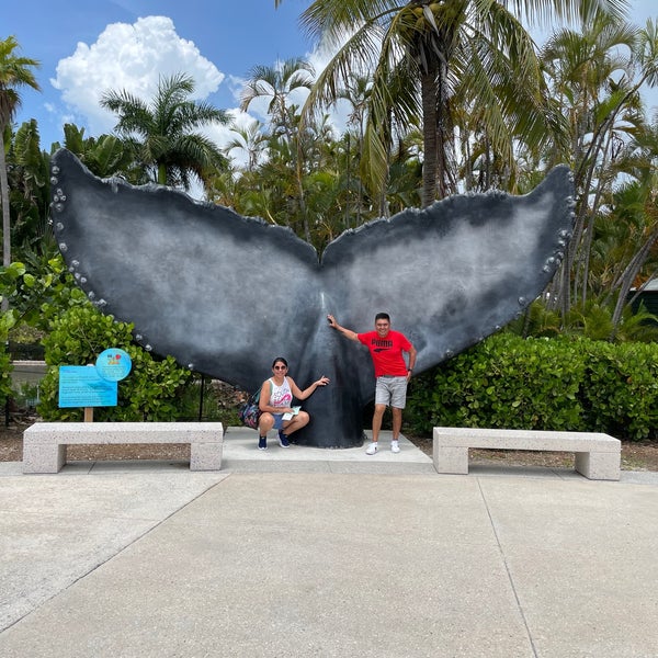 7/23/2021 tarihinde Danny F.ziyaretçi tarafından Miami Seaquarium'de çekilen fotoğraf