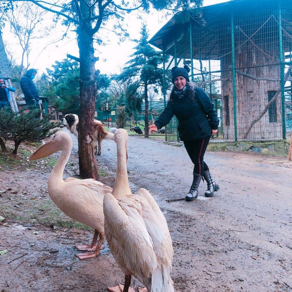 Photo taken at Polonezköy Zoo Country Club by Aylin C. on 3/3/2021